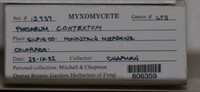 Image Associated With the Occurence